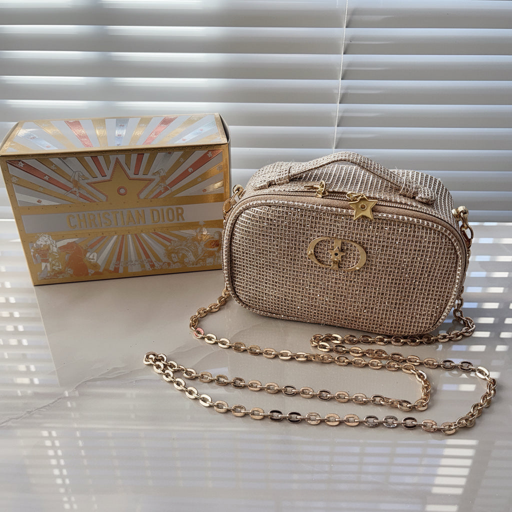 Dior Gold Mesh Pouch with Chain – Limited Edition DYI