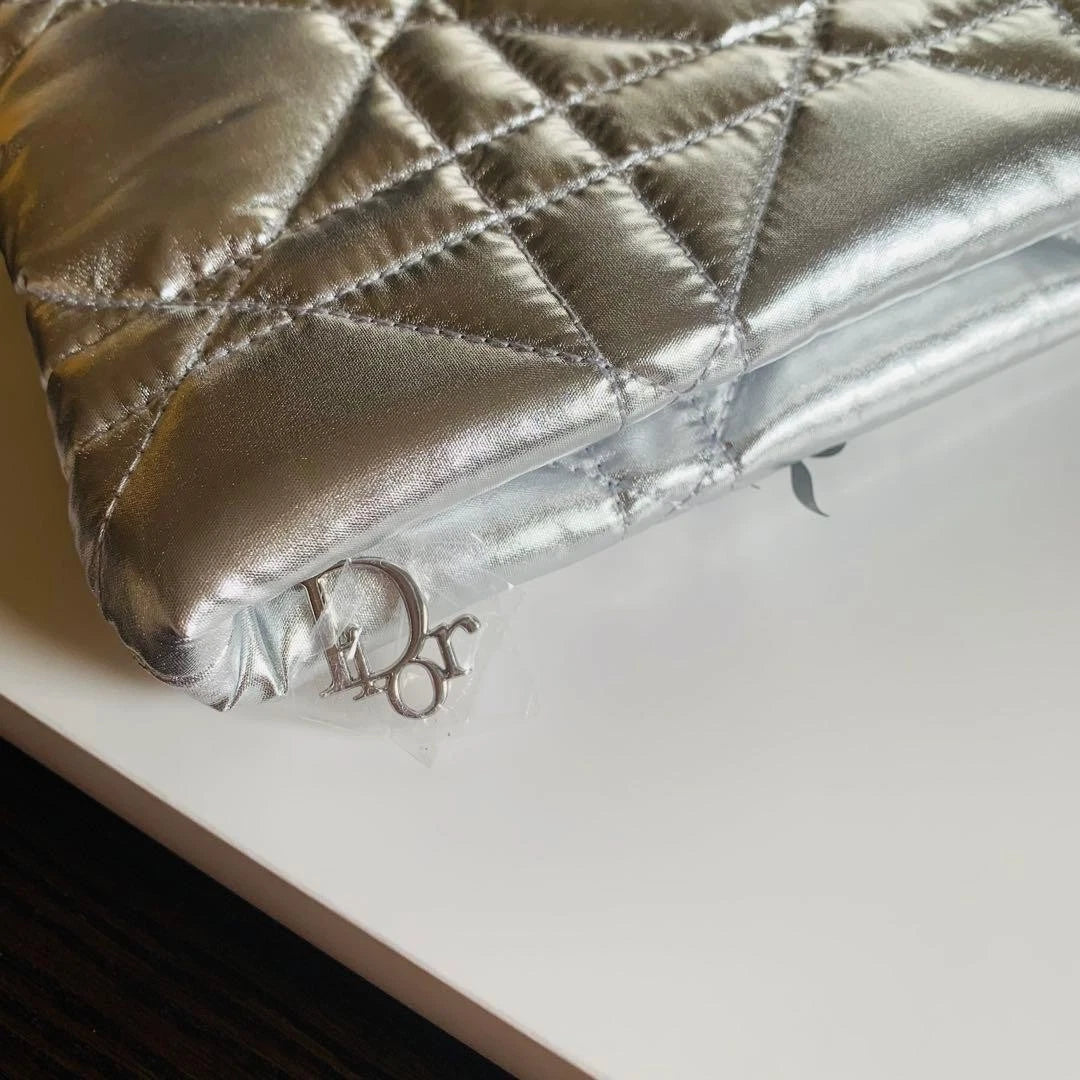 Dior Small Silver Pouch.