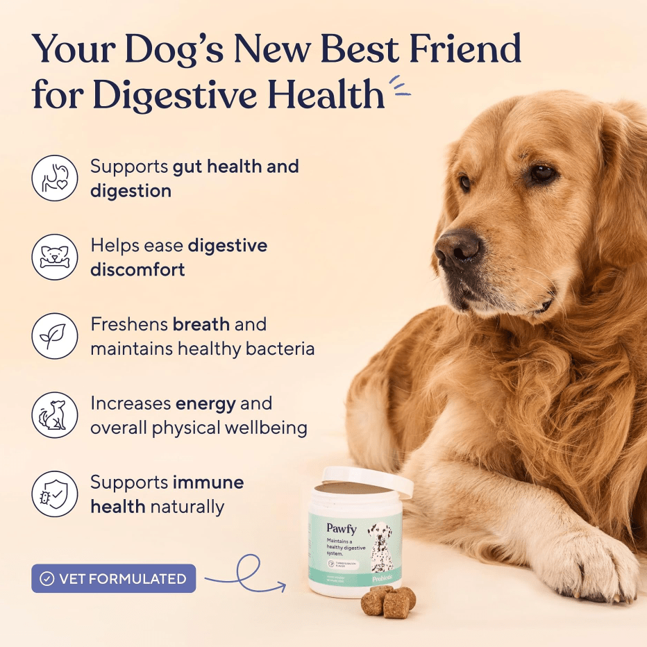 Dog Probiotic Chewable Tablets, Chicken Flavor 30 Chews - BusDeals