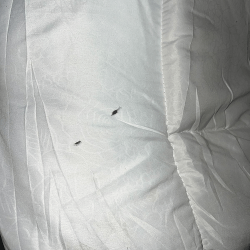 King size Duvet 220x240 cm with visible marks from production (does not affect use). - BusDeals