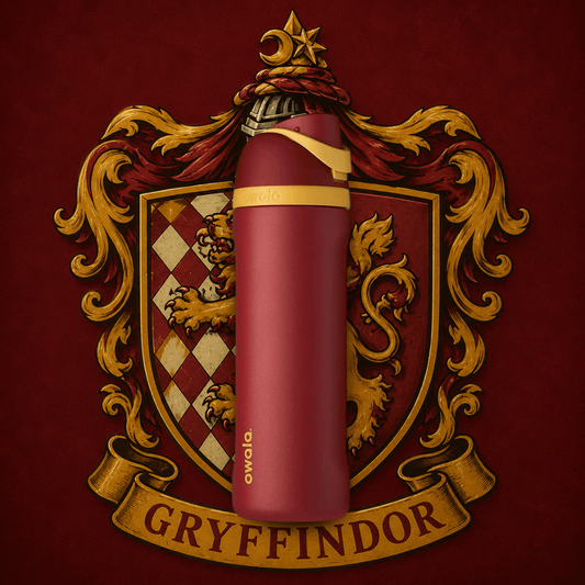 Owala 24 oz 710 ml Harry Potter FreeSip Insulated Stainless Steel Water Bottle, Gryffindor Red - BusDeals