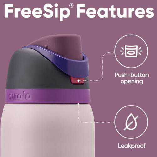 Owala FreeSip Stainless Steel Water Bottle with Straw – 24oz Leak - Proof Travel Bottle, BPA - Free & Insulated – Dreamy Field - BusDeals