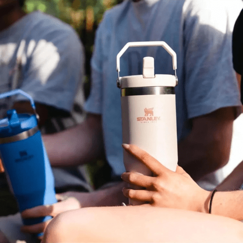 Stanley IceFlow Flip Straw, Rose Quartz, Water Bottle With Straw - Keeps Cold For 12+ Hours - Leakproof - 30OZ, Rose Quartz - BusDeals