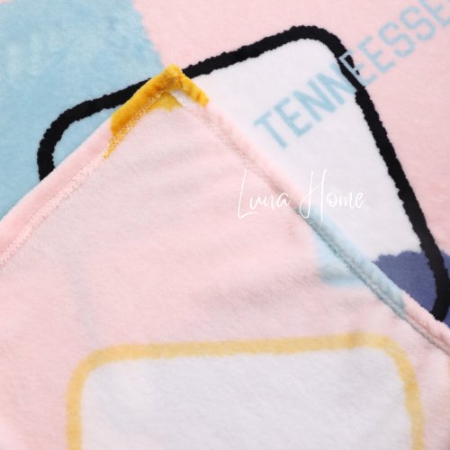 Fleece Blanket 200*230cm Super Soft Throw Pink Color with Teddy. - BusDeals