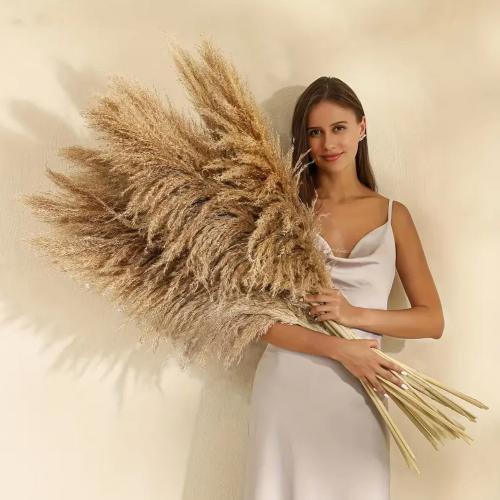 2 Pcs dried pampas 99 cm grass decor. - BusDeals