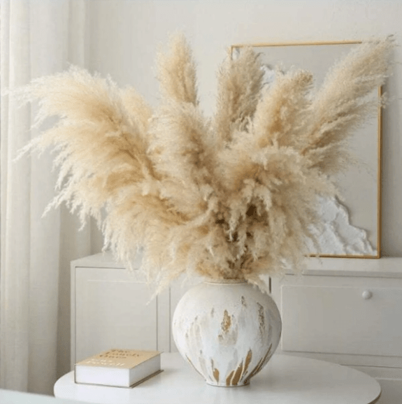 5 Stems(PCS) Natural Pampas Grass Decor Tall 120cm, Boho Reed Grass - BusDeals