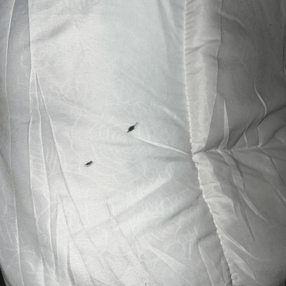 King size Duvet 220x240 cm with visible marks from production (does not affect use). - BusDeals