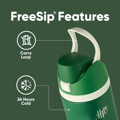 Owala 24 oz 710 ml Harry Potter FreeSip Insulated Stainless Steel Water Bottle, Slytherin Green. - BusDeals