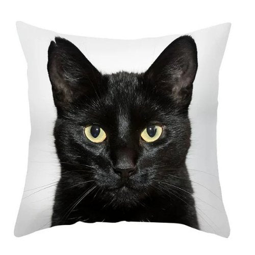1 Piece Cat design, Decorative Cushion Cover - BusDeals