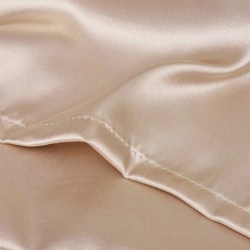 2 Pieces Pillowcases Silky Satin pillow cover set Hair Skin, Champagne Color. - BusDeals