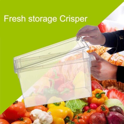 Refrigerator Storage Box Clear 16 x 15.7 x 31.2 centimeter - BusDeals